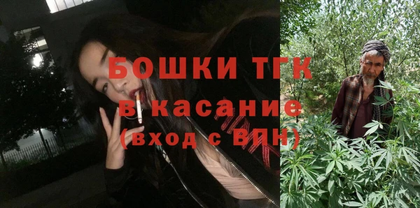 индика Алексеевка